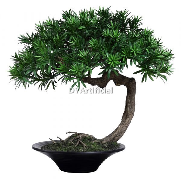 dypb 32 55cm height faux podocarpus macrophyllus pine bonsai