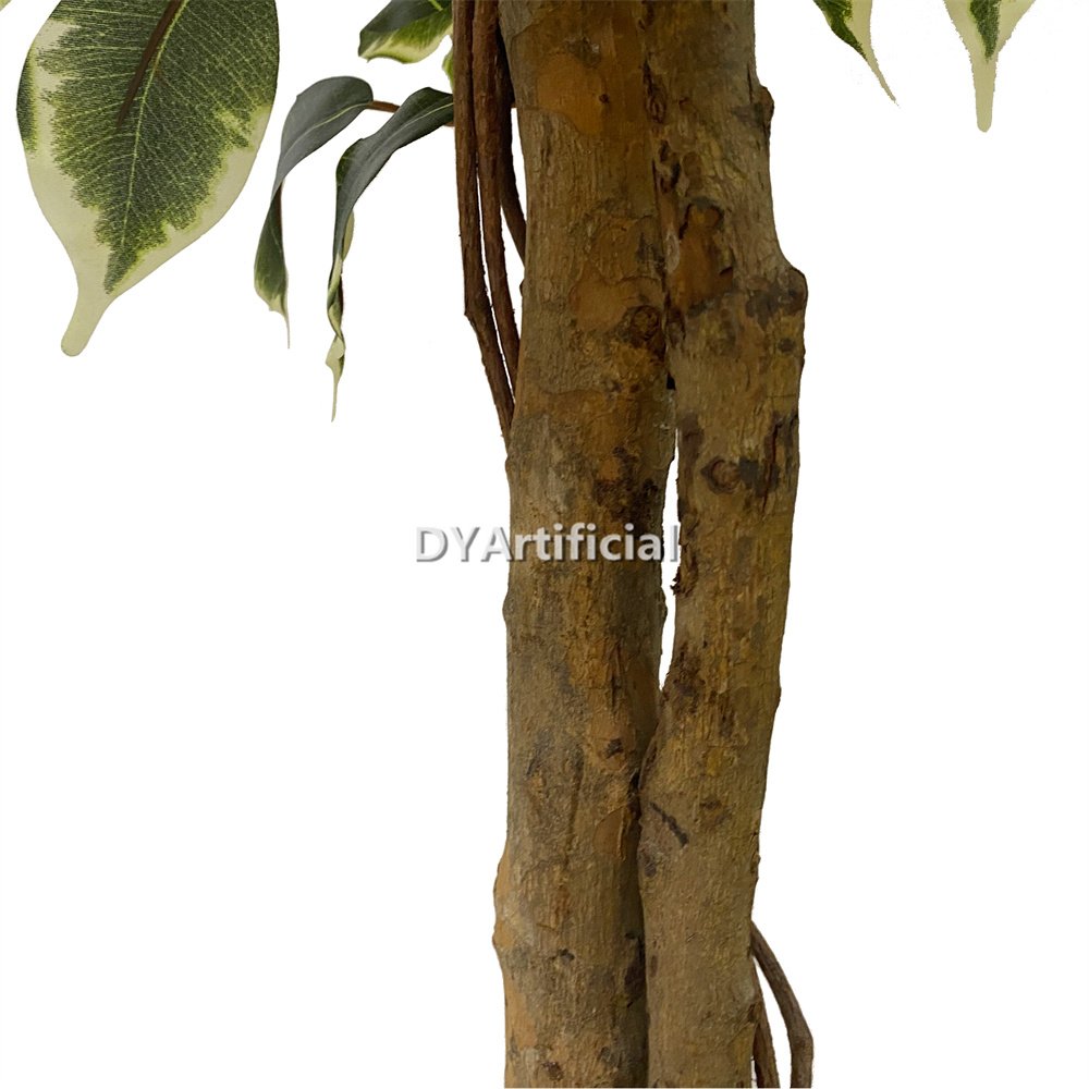 tcp 145 180cm white green ficus real trunk 1