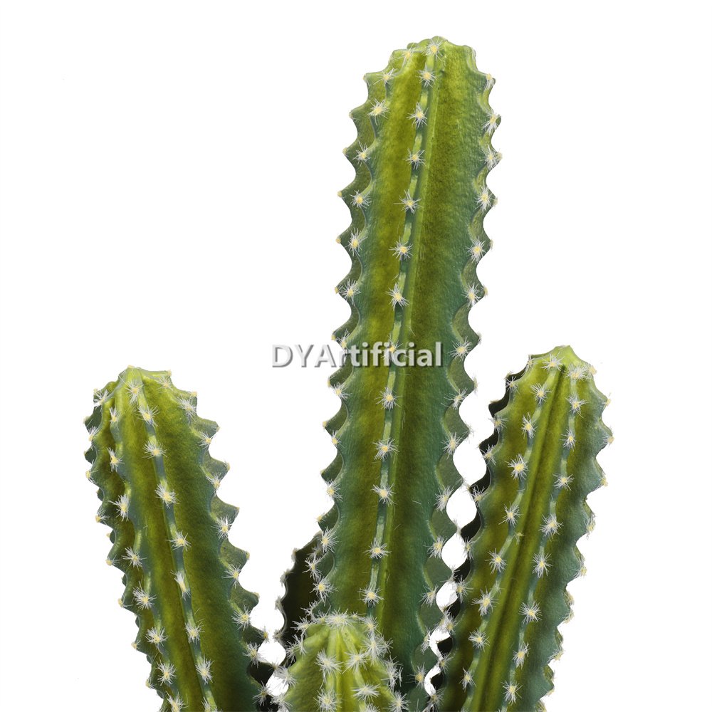 dya3 04 premium cactus 5 trunks 52cm indoor 2