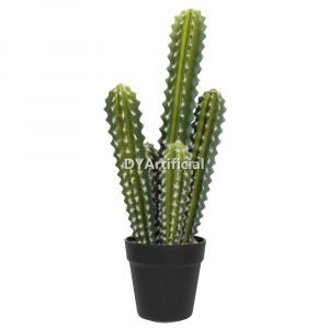 dya3 04 premium cactus 5 trunks 52cm indoor