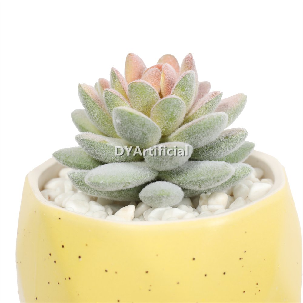dyjt 20 c artificial succulent in pots 13cm 2