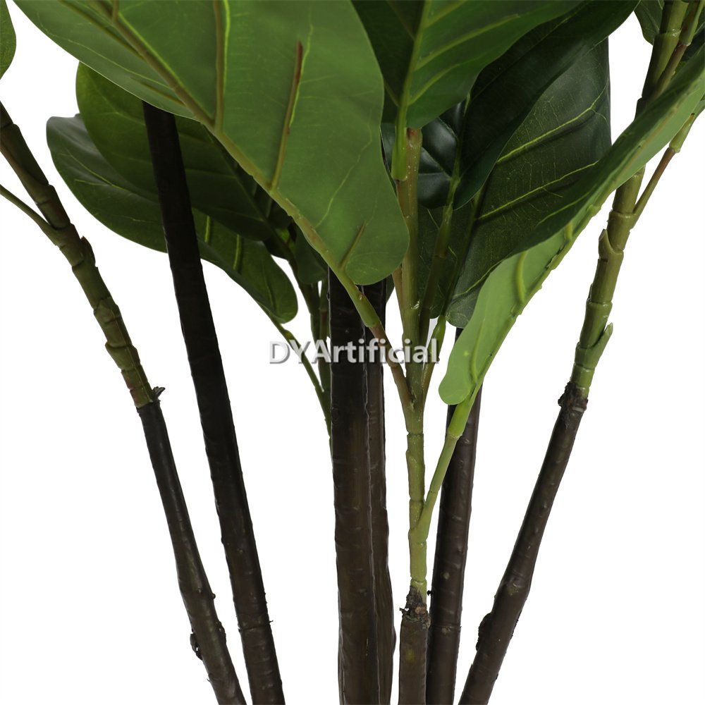 dyl 538 180cm fiddle leaf fig tree 129lvs 1