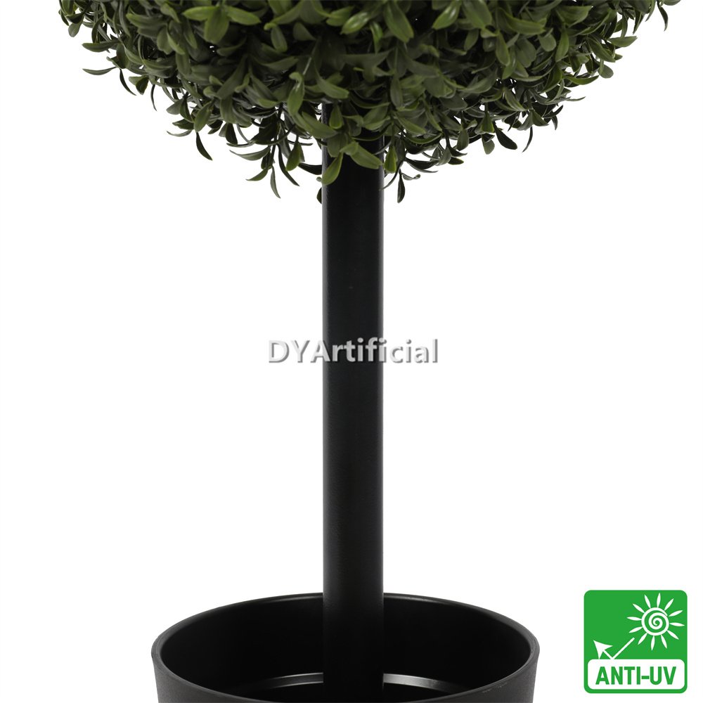 tkcz 20 1 60cm height buxus single ball tree 30cm diameter 2