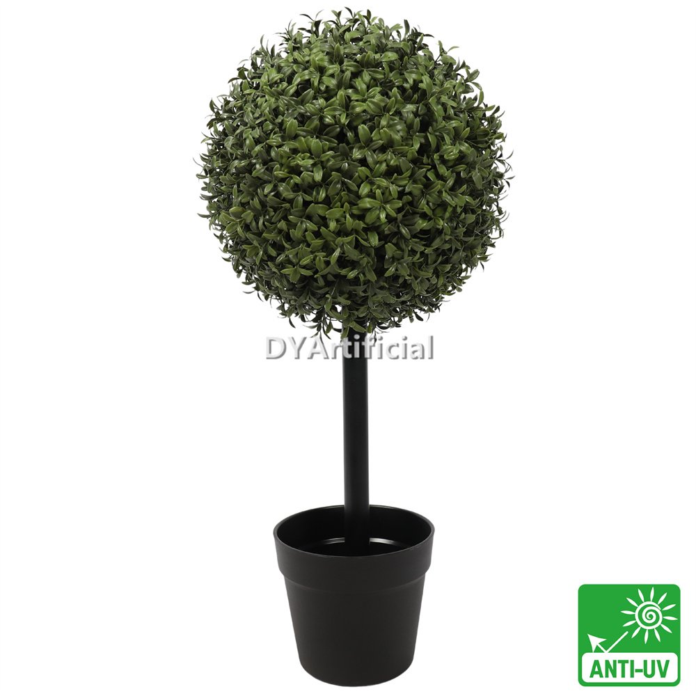 tkcz 20 1 60cm height buxus single ball tree 30cm diameter