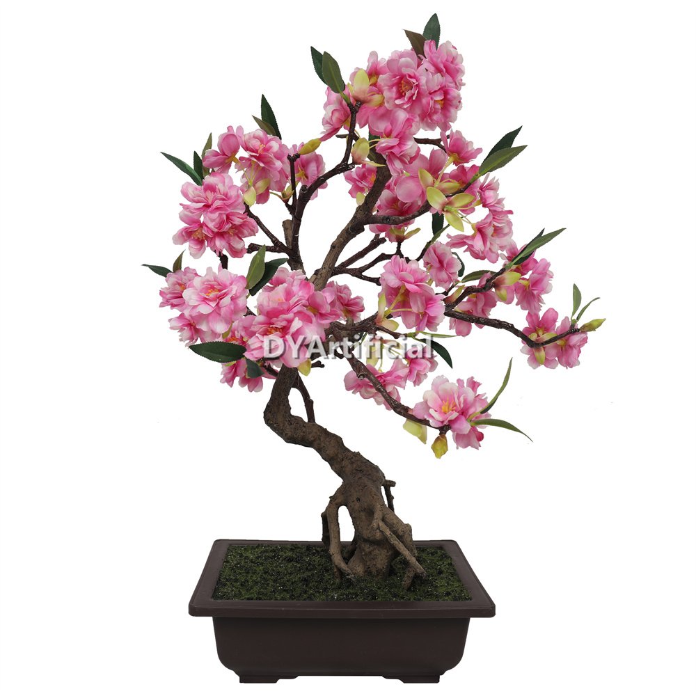 nice potted cherry blossom 55cm pink indoor
