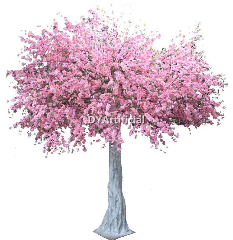 tbe 13 350cm height pink color flowering tree