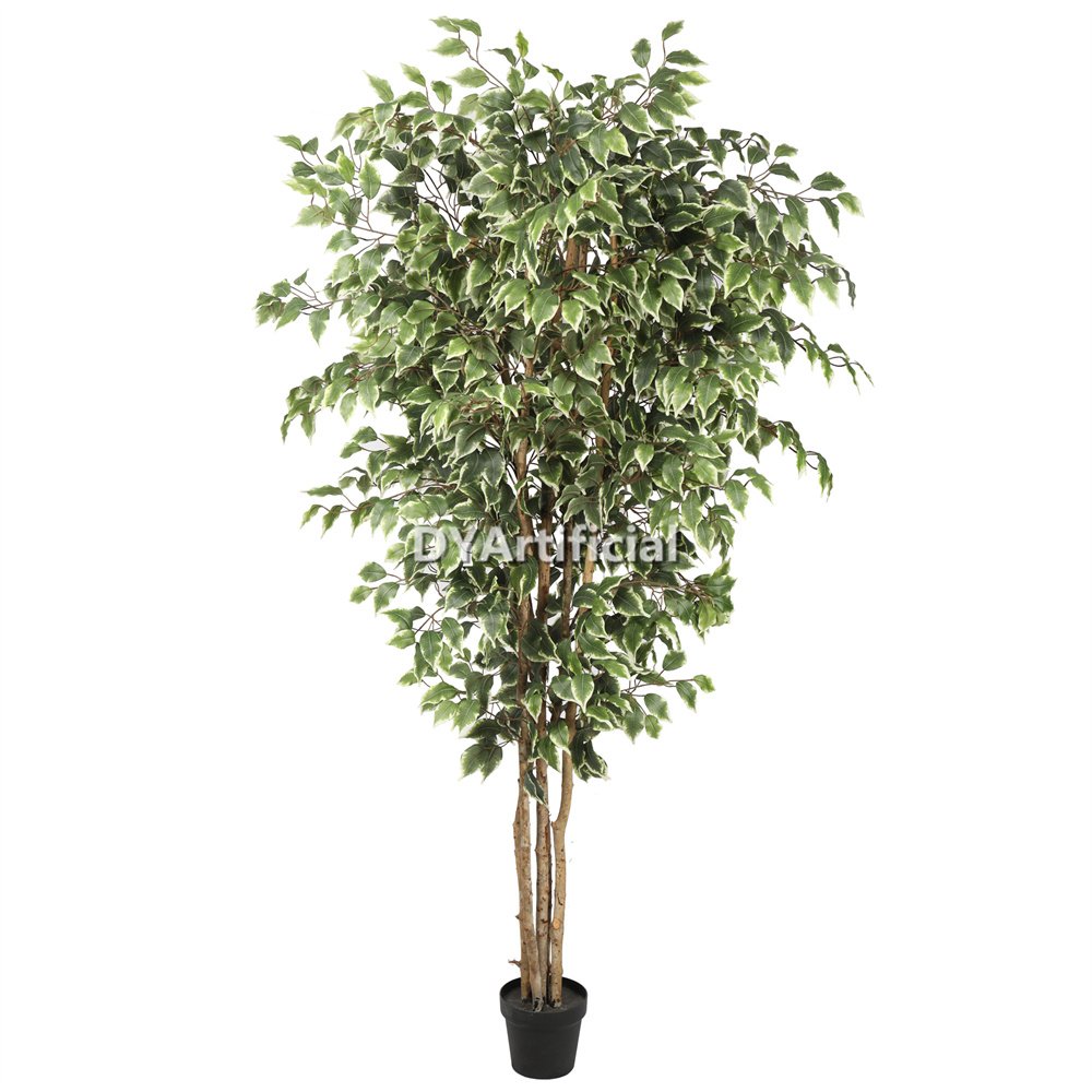 tcp 83 bushy artificial ficus tree white green leaf 170cm indoor