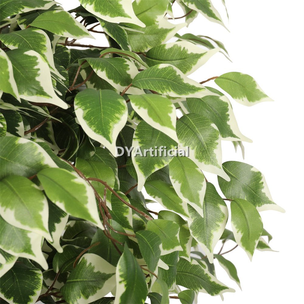 tcp 135 3 180cm height ficus tree white green outdoor uv 1