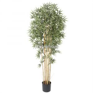 tcf 40 2t premium outdoor bamboo natural trunk 180cm no stem