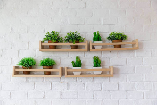 4 shelves loaded with plants