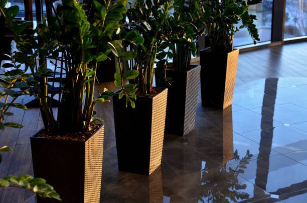 artificial plant and trees in the hall
