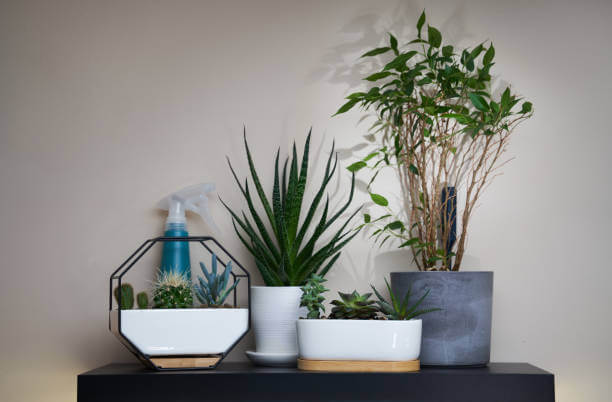 artificial plants on a console table