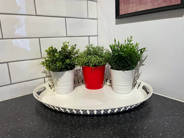 clean artificial plants in tray