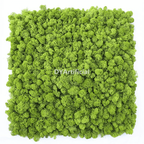features of our bulk fake moss
