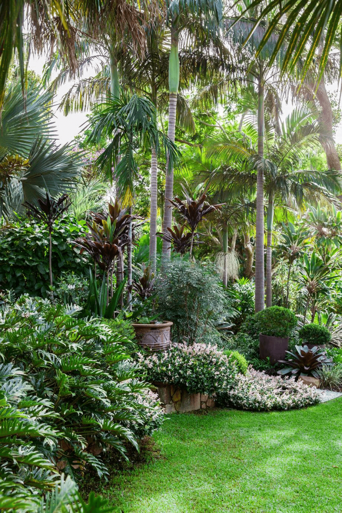 garden tropical oasis