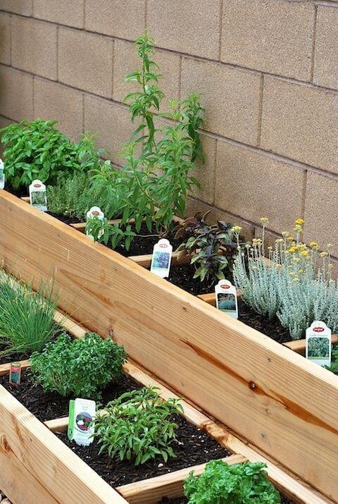 herb section in the garden