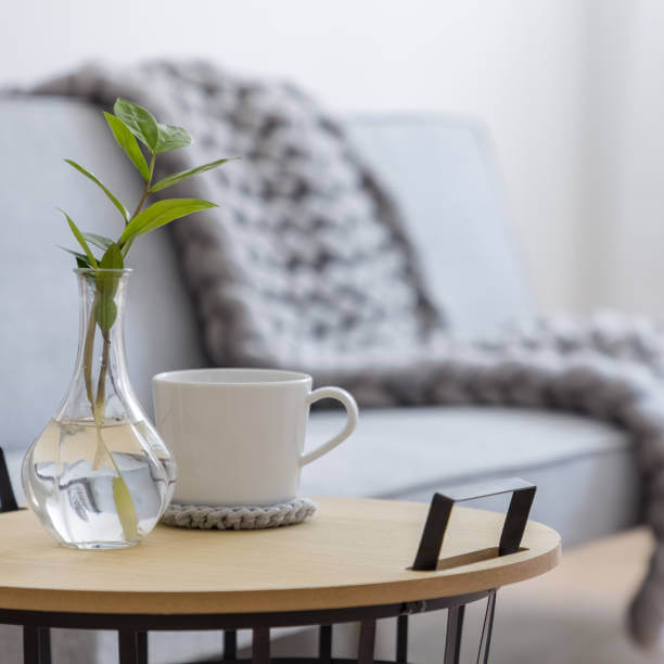 home coffee table with fake plant