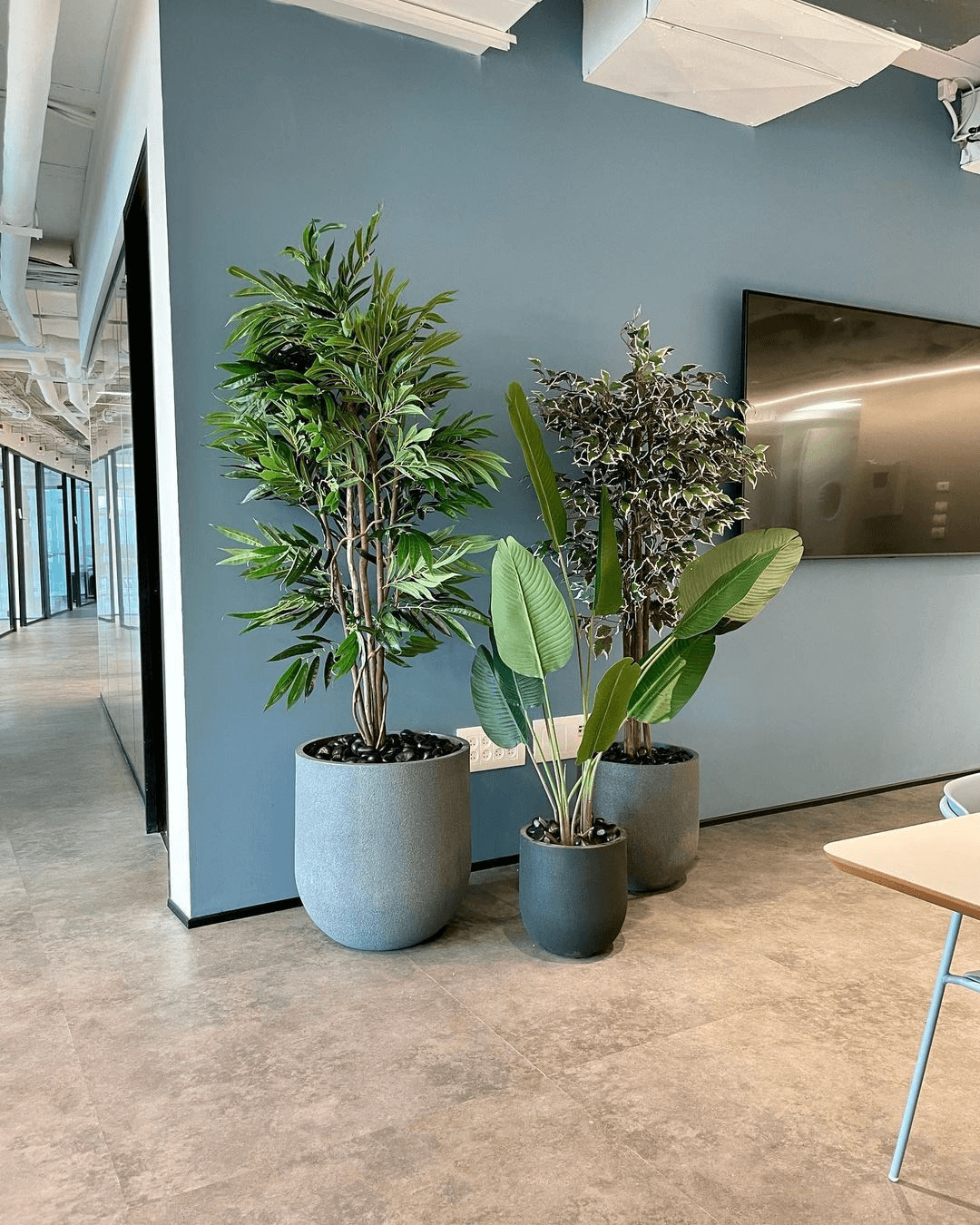 indoor artificial tree in an office room