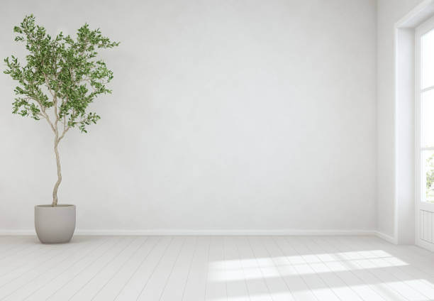 indoor plant in bright planter