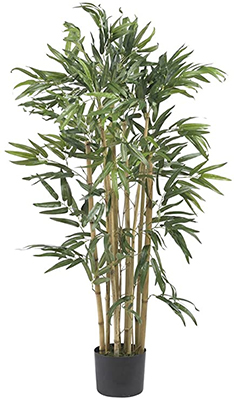 mix with natural plants