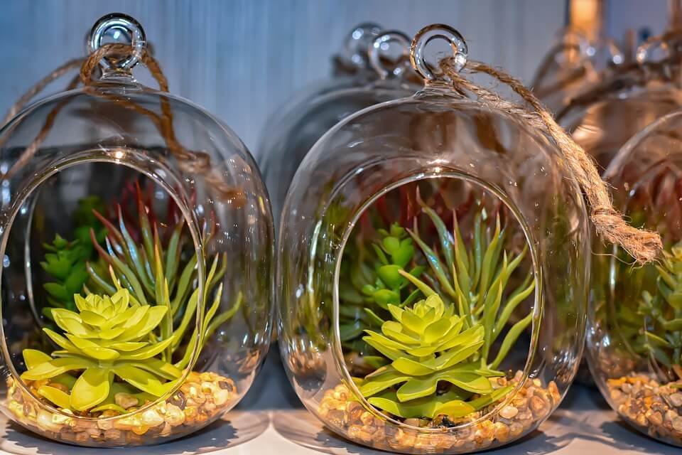 sample of artificial succulent in glass containers