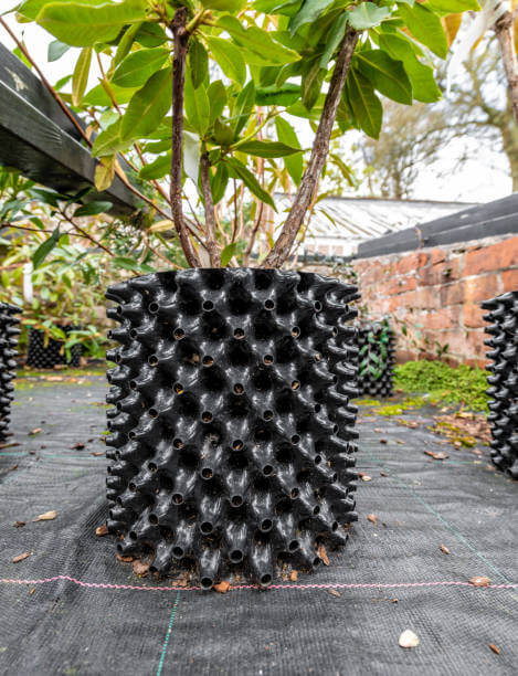 unusual spiky plant container