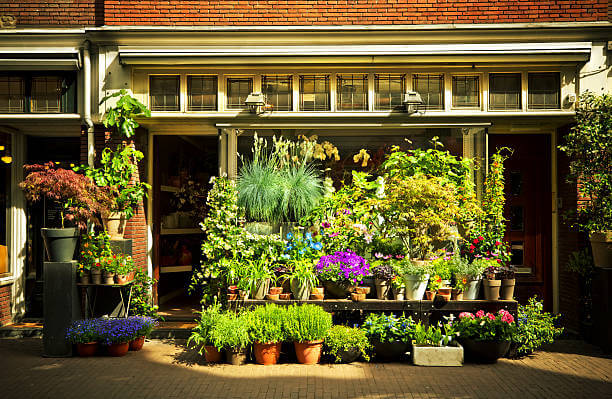 wide variety of plant stands