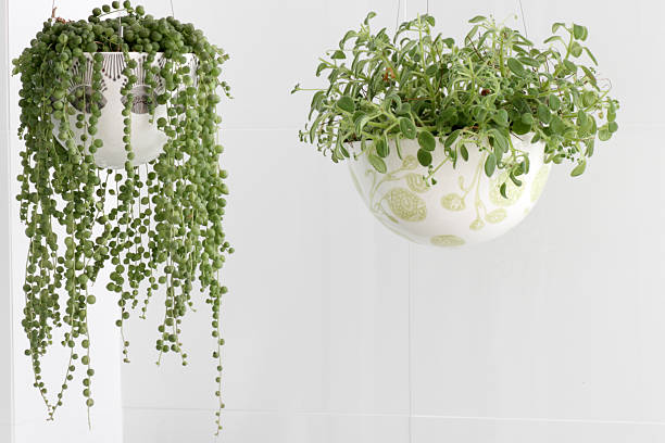 artificial hanging plants