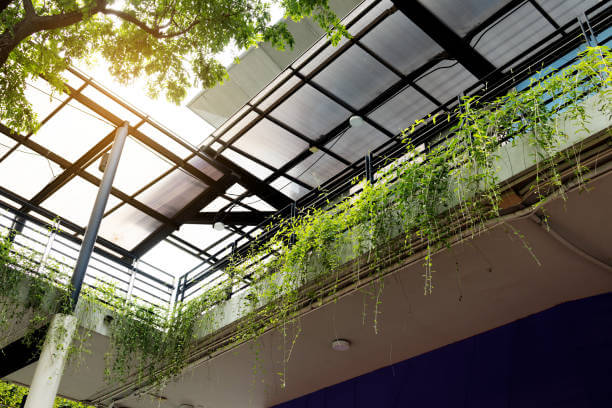 fake hanging plants in the balcony