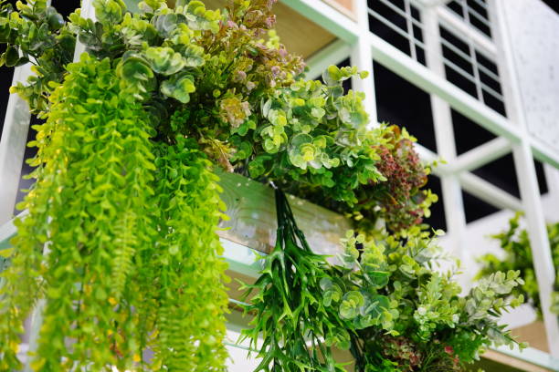 artificial flower of the plant wall