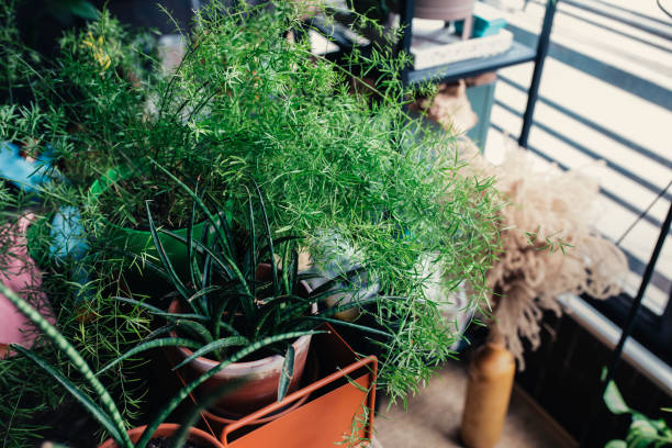 close up photo of metal shelf full with different plants and flower