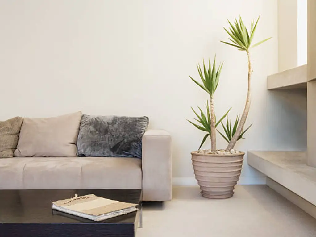 Decorative-Artificial-Plants-for-Living-Room