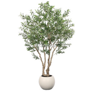 Olive Tree Disassembled 240CM Indoor KD
