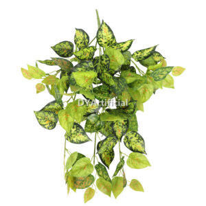 Red Green Evergreen  Hanging Bush 60CM Length