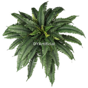 48” Boston Fern w 67 Lvs