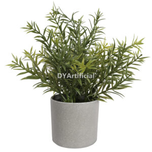 Potted Rosemary Bushy Plants 20CM with White Flowers