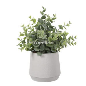 Potted Artificial Boxwood Plants 27CM Height in an Oval Pot