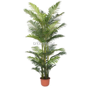 230CM Areca Palm Indoor