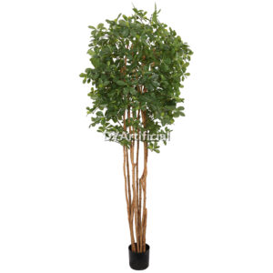 Black Olive Artificial Tree 200CM Height Indoor