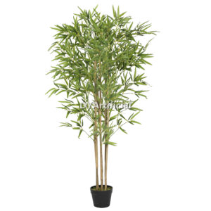 150CM Height Real Stem  Bamboo Plant Indoor