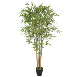 180CM Real Stem Bamboo Indoor