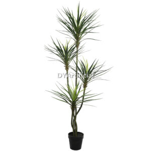 Artificial Yucca Elephantipes 170CM Height Plastic Trunk Indoor