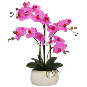 56CM Potted Phalaenopsis in Pink
