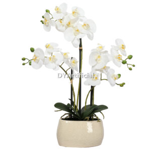 56CM Potted Phalaenopsis in White