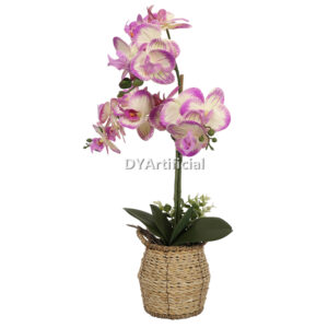 Potted Artificial Orchids Plants 60CM Height Pink and White