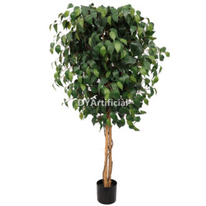 150CM Height Double Green Slim Ficus Tree Indoor