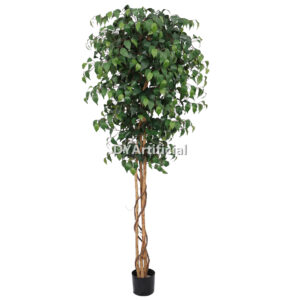 200CM Height Double Green Slim Ficus Tree Indoor