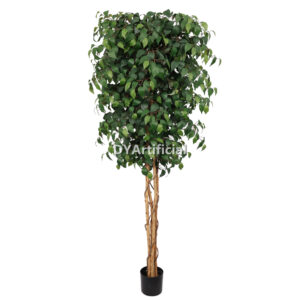 200CM Height Double Green Slim Ficus Tree 4 Trunks Indoor