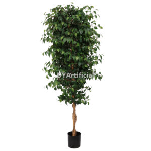 220CM Height Double Green Slim Ficus Tree Indoor
