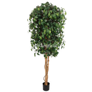 220CM Height Double Green Slim Ficus Tree 2 Trunks Indoor